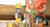 Classic wood ABC blocks